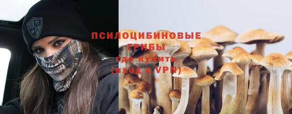 тгк Беломорск