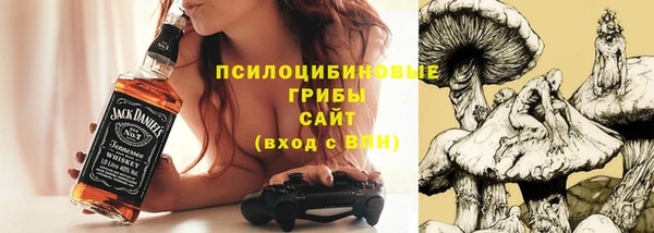 бутират Белокуриха