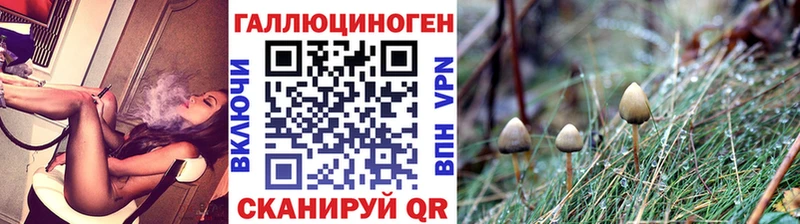 купить закладку  Великий Устюг  Галлюциногенные грибы GOLDEN TEACHER 